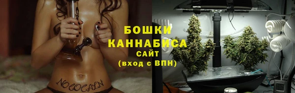 стафф Коряжма