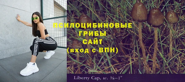 стафф Коряжма