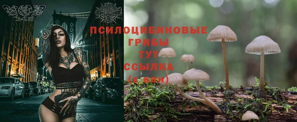 марки lsd Корсаков