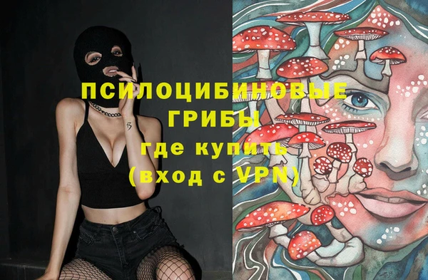 стафф Коряжма